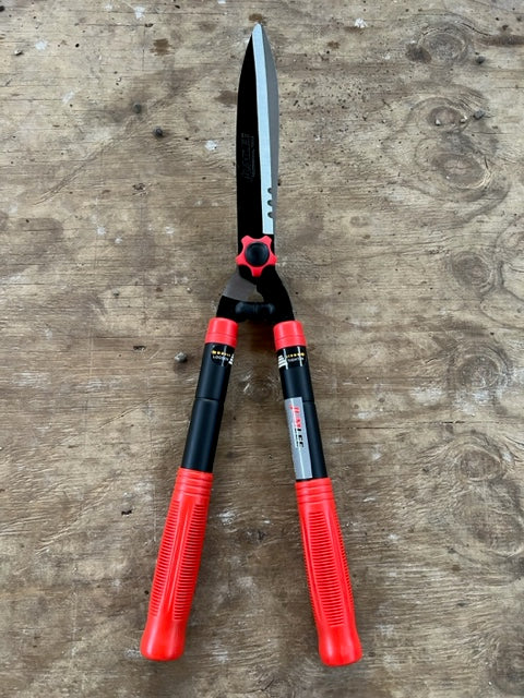 Hedge Shears