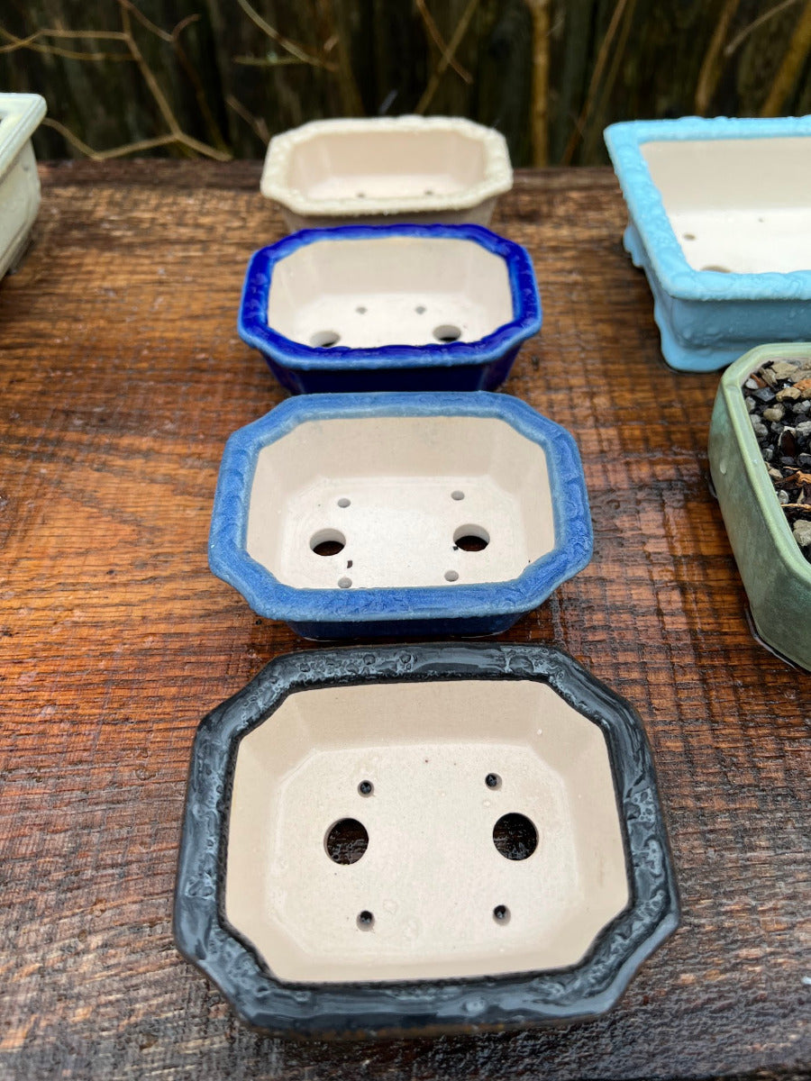Small Yixing Bonsai Pot