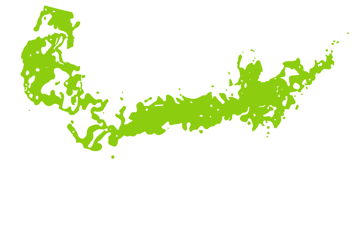 Juniperus communis 'Gold Cone' Wilscape Nursery & Garden Center RI