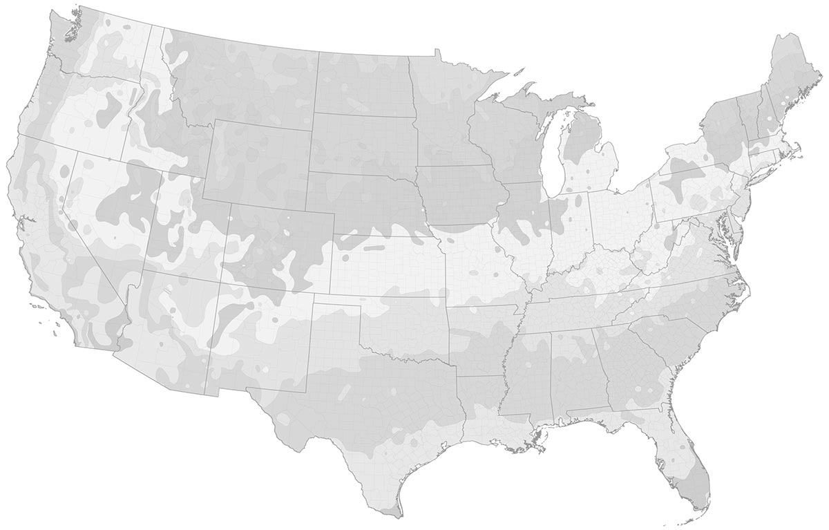 CRCCD – Eastern White Pine (plugs) – Connecticut's Conservation Districts